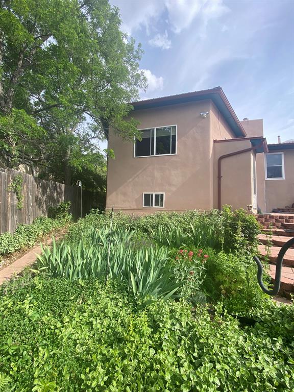 Back yard