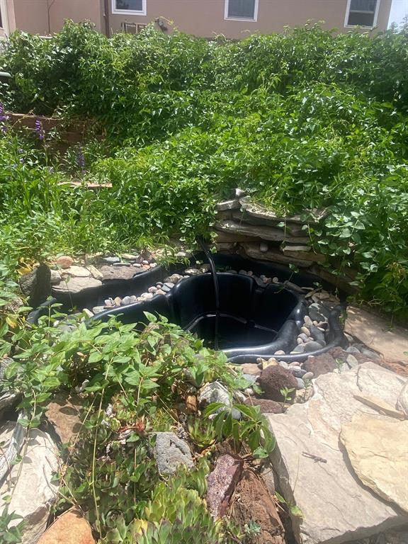 Fish pond